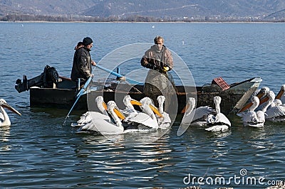 Pelicans and fishermen Editorial Stock Photo