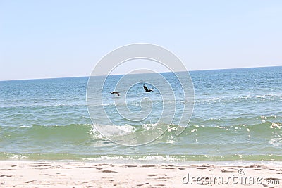 Pelicans flying over White Sand Beach Stock Photo