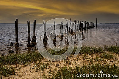 Pelicans resting on pylons on the Gulf of Mexico Stock Photo