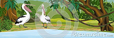 Pelicans on the tropical jungle. Shore of a lake or river. Grass and trees. Vector Illustration