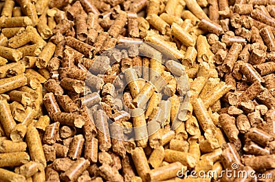 Wood pellets renewable energy Stock Photo