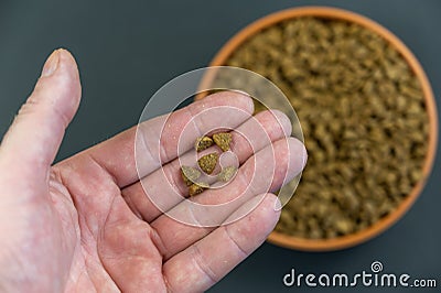 Pellets of dry food for spayed or neutered cats lie in the man`s palm. The adult male is holding the triangular-shaped pellets. A Stock Photo