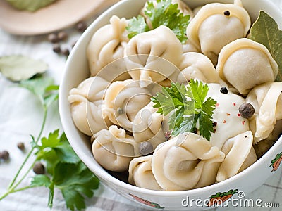 Pelmeni Stock Photo