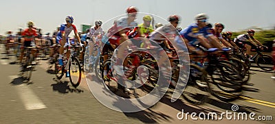 Peloton of bicycle riders during a race Editorial Stock Photo
