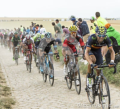 The Peloton on a Cobblestone Road - Tour de France 2015 Editorial Stock Photo