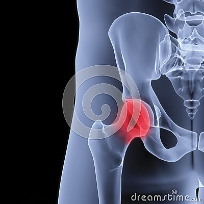 Pelvis Stock Photo