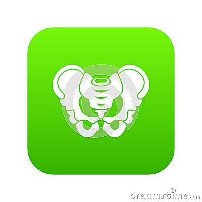 Pelvis icon digital green Vector Illustration