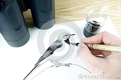 Pen and ink illustrator Stock Photo