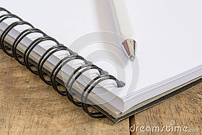 Pen on open book Stock Photo