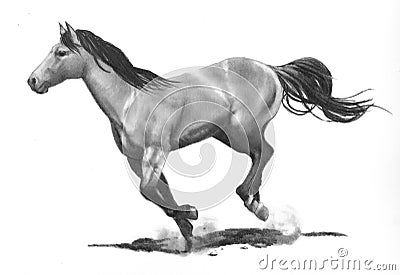 Pencil Drawing of Running Horse Stock Photo