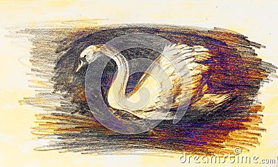 Pencil drawing swan on old paper background. Stock Photo