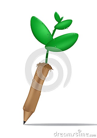Pencil seedlings isolate background Stock Photo