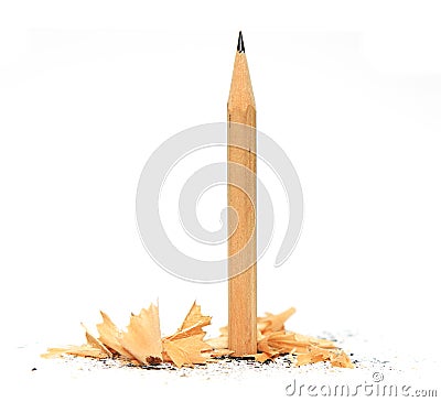 Pencil in wood shavings Stock Photo