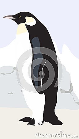 A penguin Vector Illustration