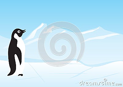 Penguin Vector Illustration