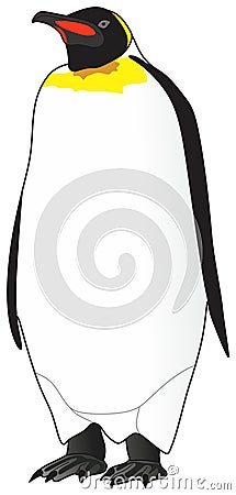 Penguin animal vector drawing standing on isolated white background Vector Illustration