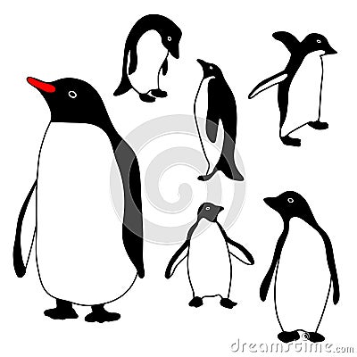 Penguin Collection Vector Illustration