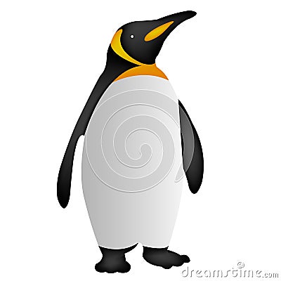 Penguin icon, penguin icon penguin vector Vector Illustration