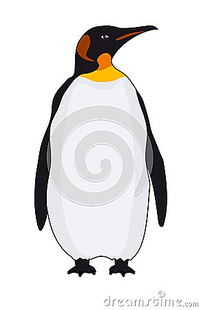 Penguin ,King Penguin vector illustration.Penguin vector stock image Vector Illustration