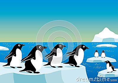 Penguins on an ice floe Vector Illustration