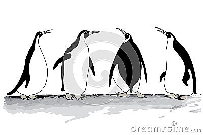 Penguins Vector Illustration