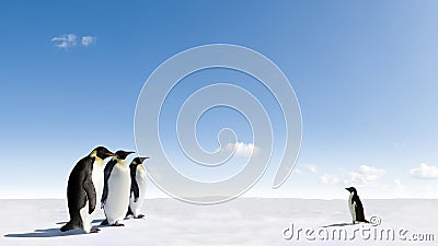 Penguins Meeting Stock Photo