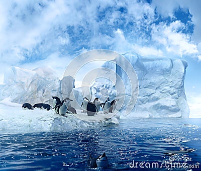 Penguins on melting ices floe Stock Photo