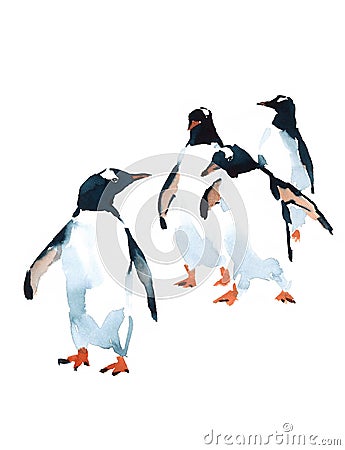 Penguins Watercolor Birds Antarctic Illustration isolated on white background Cartoon Illustration