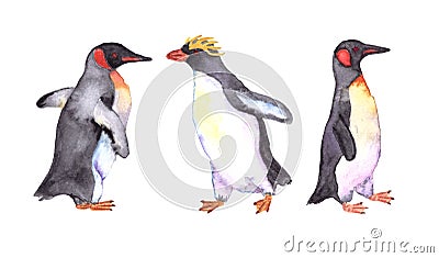 Penguins watercolor isolated on white background Stock Photo