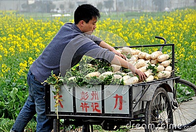 Pengzhou, China: Farmer with Radishes Editorial Stock Photo