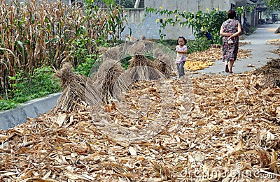 Pengzhou, China: Roadway with Drying Corn Husks Editorial Stock Photo