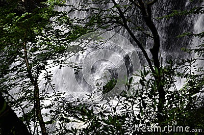 Pennsylvania waterfall cascading through the trees Stock Photo