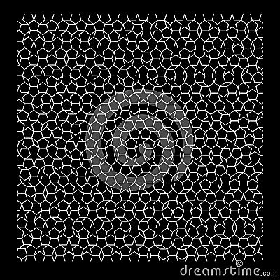 Penrose tiling mosaic in black and white. vector Vector Illustration