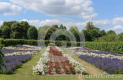 Penshurst Place Garden Editorial Stock Photo