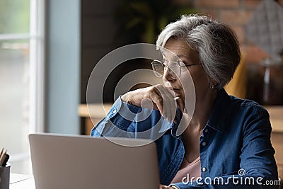 Pensive lady retiree study computer ponder on next step Stock Photo