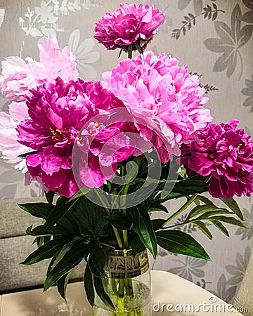 Peonies, bouquet, gorgeous flowers Stock Photo