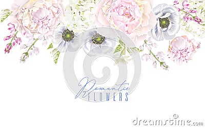 Peony anemone border Vector Illustration