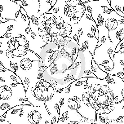 Peony flower seamless pattern drawing. Vector hand drawn engrave Vector Illustration