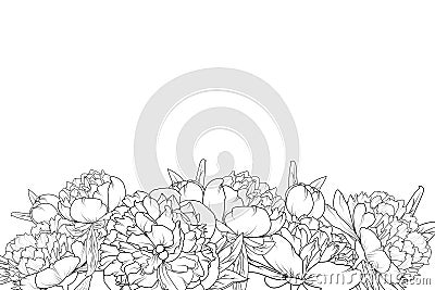 Peony flowers black white bottom border frame Vector Illustration