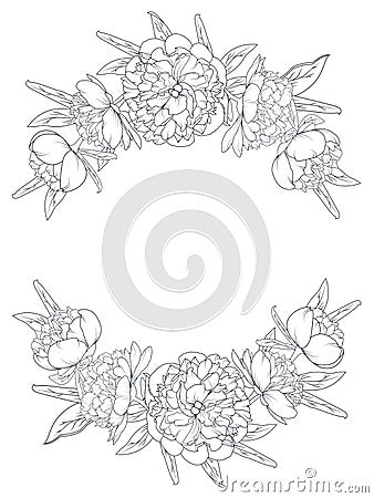 Peony flowers border frame element laurels foliage Vector Illustration