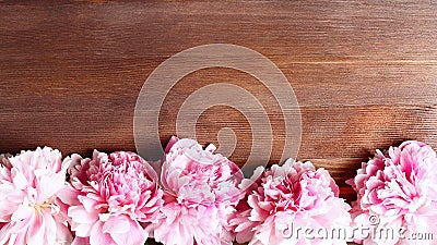 Peony flowers frame on wooden background. space for a text, view from above. panoramic floral banner Stock Photo