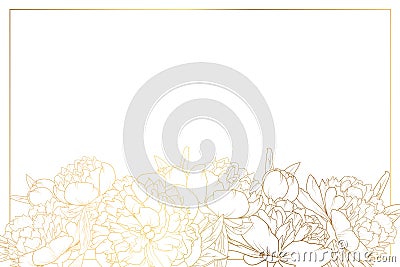 Peony rose flowers border frame bottom horizontal Vector Illustration