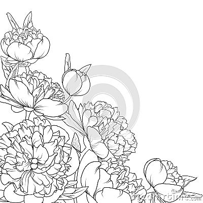 Peony rose garden flowers composition corner frame Vector Illustration