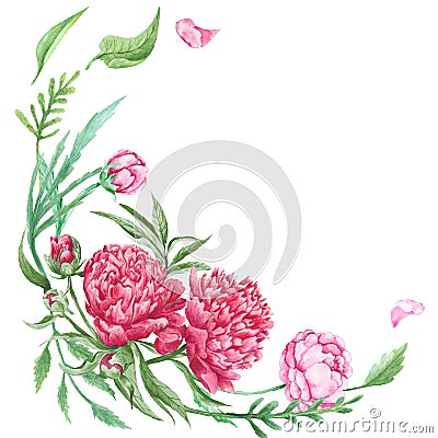 Peony Summer Floral Corner Cartoon Illustration