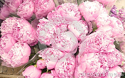 Peoony Boouquets Stock Photo