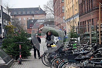 People christmas shoppers at tree vendor in Copenhagen Editorial Stock Photo