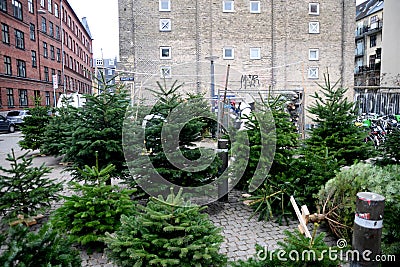 People christmas shoppers at tree vendor in Copenhagen Editorial Stock Photo