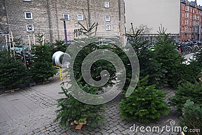 People christmas shoppers at tree vendor in Copenhagen Editorial Stock Photo