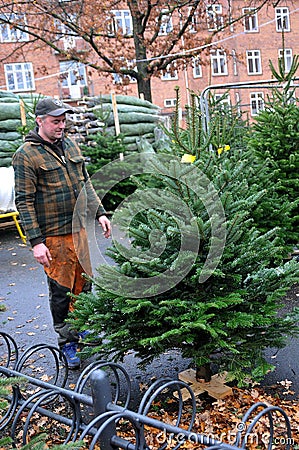 People christmas shoppers at tree vendor in Copenhagen Editorial Stock Photo