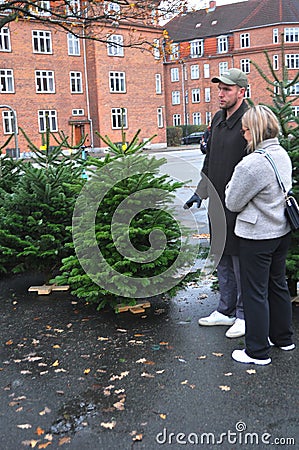 People christmas shoppers at tree vendor in Copenhagen Editorial Stock Photo